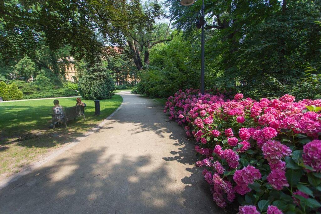 Parkowy Apartament Leilighet Wrocław Eksteriør bilde